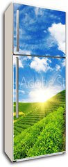 Samolepka na lednici flie 80 x 200  Beautiful pattern of bright, green tea garden on the hill, 80 x 200 cm