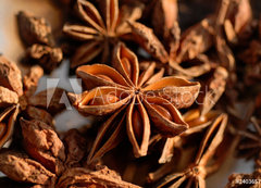 Samolepka flie 200 x 144, 240365713 - Badiane / Anis toil