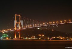 Samolepka flie 145 x 100, 24111958 - Bosphorus Bridge