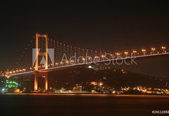 Fototapeta pltno 174 x 120, 24111958 - Bosphorus Bridge