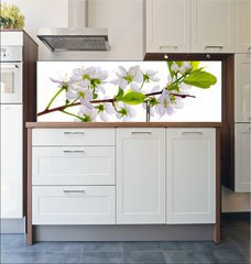 Fototapeta do kuchyn flie 180 x 60  white cherry blossom close up, 180 x 60 cm