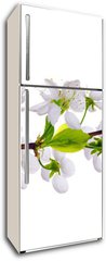 Samolepka na lednici flie 80 x 200  white cherry blossom close up, 80 x 200 cm