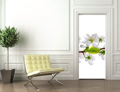 Samolepka na dvee flie 90 x 220, 24127573 - white cherry blossom close-up - bl teov kvt zavt