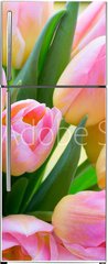 Samolepka na lednici fólie 80 x 200, 241402098 - Spring flowers. Living coral tulip bouquet on the bokeh background. - Jarní květiny. Živá korálová kytice tulipánů na pozadí bokeh.