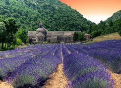 Fototapeta papr 160 x 116, 24141641 - France - Paca - Abbaye de Senanque