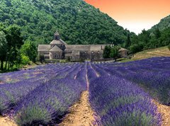 Samolepka flie 270 x 200, 24141641 - France - Paca - Abbaye de Senanque