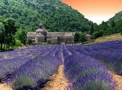 Fototapeta vliesov 270 x 200, 24141641 - France - Paca - Abbaye de Senanque