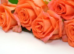 Samolepka flie 270 x 200, 24150167 - Rosen