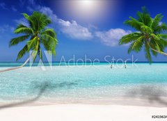 Fototapeta160 x 116  Traumstrand in den Tropen mit trkisem Meer, Kokosnusspalmen und feinem Sand, 160 x 116 cm