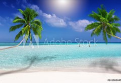 Fototapeta174 x 120  Traumstrand in den Tropen mit trkisem Meer, Kokosnusspalmen und feinem Sand, 174 x 120 cm