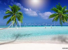 Fototapeta330 x 244  Traumstrand in den Tropen mit trkisem Meer, Kokosnusspalmen und feinem Sand, 330 x 244 cm