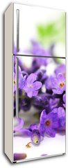Samolepka na lednici fólie 80 x 200, 24305034 - Aroma, Lavendel - Aroma, levandule