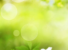 Fototapeta pltno 330 x 244, 243100847 - Spring scenery with smal flowers