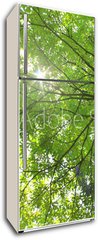Samolepka na lednici fólie 80 x 200, 24415772 - The natural - Přírodní