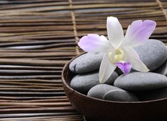 Fototapeta160 x 116  Purple orchids in wooden bowl, 160 x 116 cm