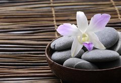 Fototapeta pltno 174 x 120, 24429510 - Purple orchids in wooden bowl