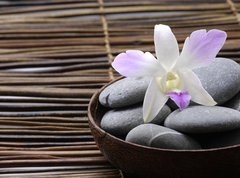 Samolepka flie 270 x 200  Purple orchids in wooden bowl, 270 x 200 cm