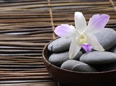 Fototapeta vliesov 270 x 200, 24429510 - Purple orchids in wooden bowl