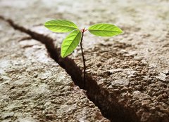 Fototapeta pltno 240 x 174, 24536978 - Concept of business break through - Koncepce prolomen obchodu
