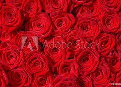 Samolepka flie 200 x 144, 24548244 - Rote Rosen, Symbol f r Liebe, Rosenstrau 