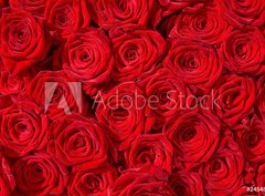 Fototapeta330 x 244  Rote Rosen, Symbol f r Liebe, Rosenstrau , 330 x 244 cm