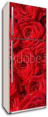 Samolepka na lednici flie 80 x 200  Rote Rosen, Symbol f r Liebe, Rosenstrau , 80 x 200 cm