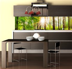Fototapeta do kuchyně fólie 260 x 60, 245602125 - Beautiful forest panorama in spring with bright sun shining through the trees - Krásné lesní panorama na jaře s jasným sluncem prosvítajícím mezi stromy