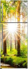 Samolepka na lednici fólie 80 x 200, 245602125 - Beautiful forest panorama in spring with bright sun shining through the trees - Krásné lesní panorama na jaře s jasným sluncem prosvítajícím mezi stromy