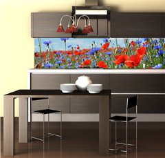 Fototapeta do kuchyně fólie 260 x 60, 24598223 - Feldblumen am Wegesrand - Pole květiny podél cesty