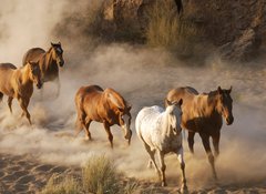 Samolepka flie 100 x 73, 2467066 - wild horses running