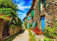 Fototapeta papír 160 x 116, 246836788 - Beautiful colorful medieval alley in Yvoire town in France - Krásná barevná středověká ulička ve městě Yvoire ve Francii