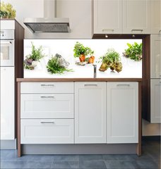 Fototapeta do kuchyn flie 180 x 60, 247543142 - Marjoram, oregano, rosemary garden herbs set