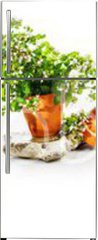 Samolepka na lednici flie 80 x 200, 247543142 - Marjoram, oregano, rosemary garden herbs set
