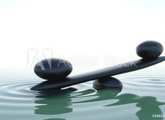 Samolepka flie 100 x 73  Frontal zen balace, 100 x 73 cm