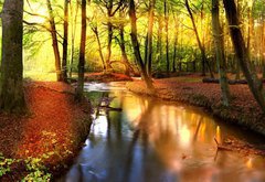 Samolepka flie 145 x 100  sun rays in forest, 145 x 100 cm