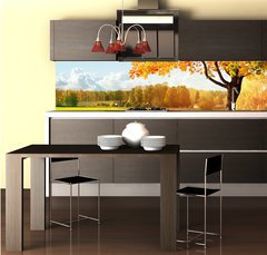 Fototapeta do kuchyn flie 260 x 60  Autumn at the morning park, 260 x 60 cm