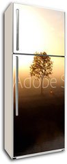 Samolepka na lednici fólie 80 x 200, 25089569 - Sonnenaufgang - svítání