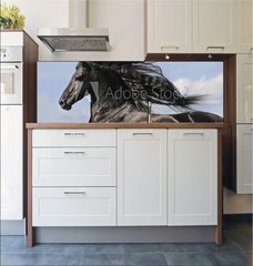 Fototapeta do kuchyn flie 180 x 60, 25113841 - Portrait of moving friesian black horse - Portrt pohybujc se frzskho ernho kon