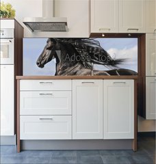 Fototapeta do kuchyn flie 180 x 60, 25113841 - Portrait of moving friesian black horse