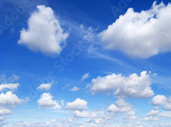 Samolepka flie 270 x 200, 251311692 - Panorama