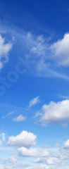 Samolepka na dveře fólie 90 x 220, 251311692 - Panorama