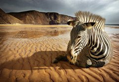 Fototapeta pltno 174 x 120, 25254470 - Beach Zebra