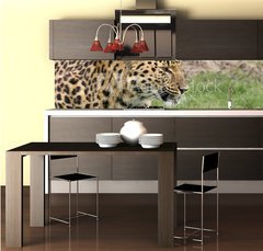 Fototapeta do kuchyn flie 260 x 60  leopard, 260 x 60 cm