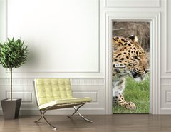 Samolepka na dvee flie 90 x 220, 2526283 - leopard