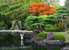 Fototapeta papr 160 x 116, 25335545 - Herbstlicher Park, Schloss Himeiji, Japan