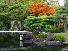 Samolepka flie 270 x 200, 25335545 - Herbstlicher Park, Schloss Himeiji, Japan
