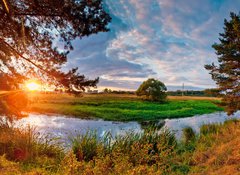 Fototapeta100 x 73  Summer panorama with river and pine, 100 x 73 cm