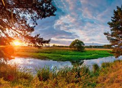 Fototapeta240 x 174  Summer panorama with river and pine, 240 x 174 cm