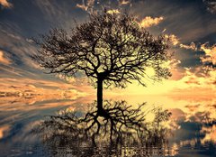 Fototapeta pltno 240 x 174, 25486634 - mystic moments - mystick okamiky