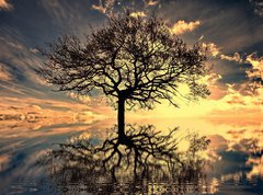 Samolepka flie 270 x 200, 25486634 - mystic moments - mystick okamiky